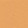 apricot F6461458