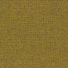 Goldhawk MLF31