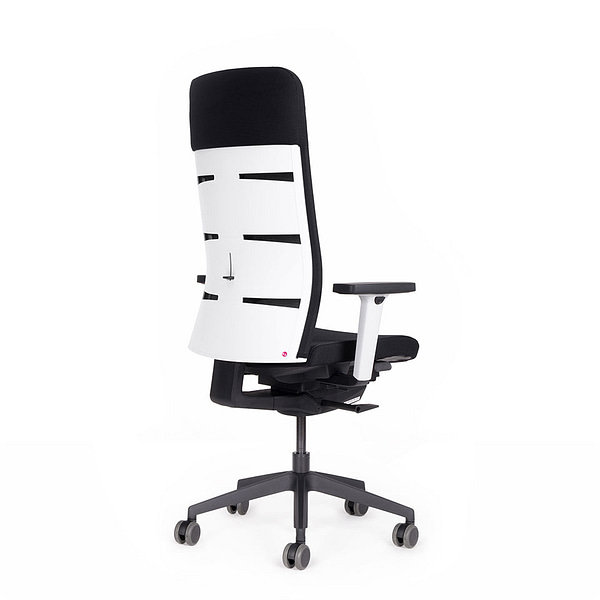 lento agilis matrix Der Moderne ergonomischer Bürostuhl / Edition schwarz mit Netzrücken Rückansicht