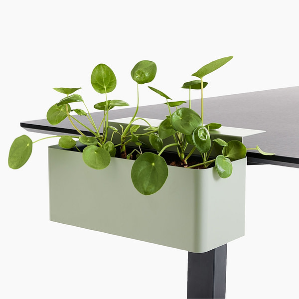 lento Schreibtischzubehör: Blumenbox grün mit Tischklemmen