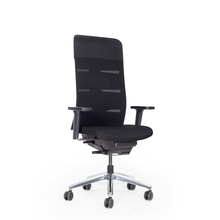 Abbildung: ergonomischer Bürostuhl mit Segment-Rückenlehne schwarz, hoch mit Aufsatz, mit integrierter Lordosenstütze (höhenverstellbar) und flexiblem Schulter-bereich, frei bewegliche Sitzneige nach vorn, stufenlos, gedämpft, 10 Jahre Garantie, TÜV GS u. Test sehr gut
