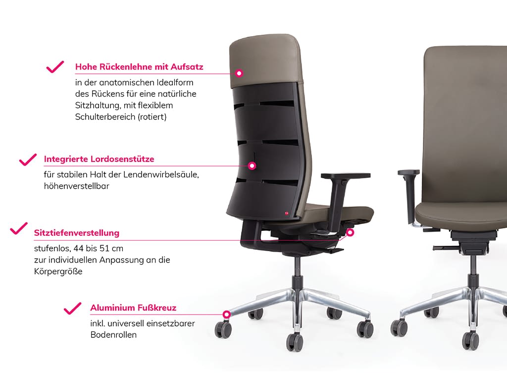 Ergonomischer Bürostuhl lento agilis matrix Infografik mit Funktionen und Material Echtleder mobil
