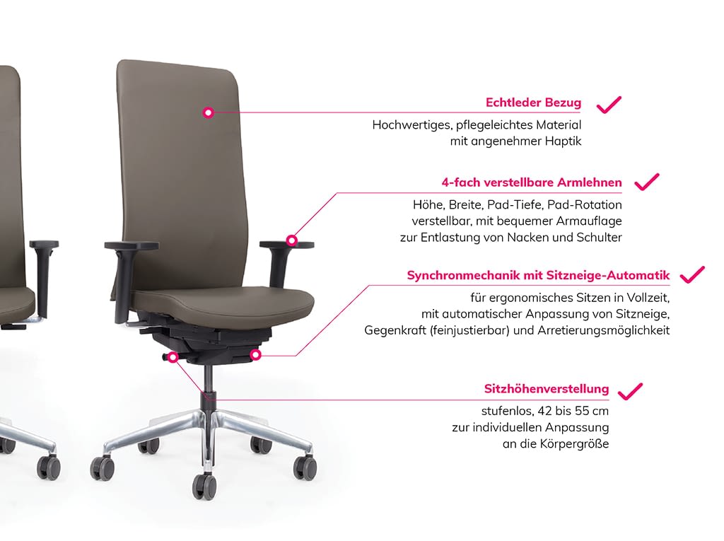 Ergonomischer Bürostuhl lento agilis matrix Infografik mit Funktionen und Material Echtleder mobil 1