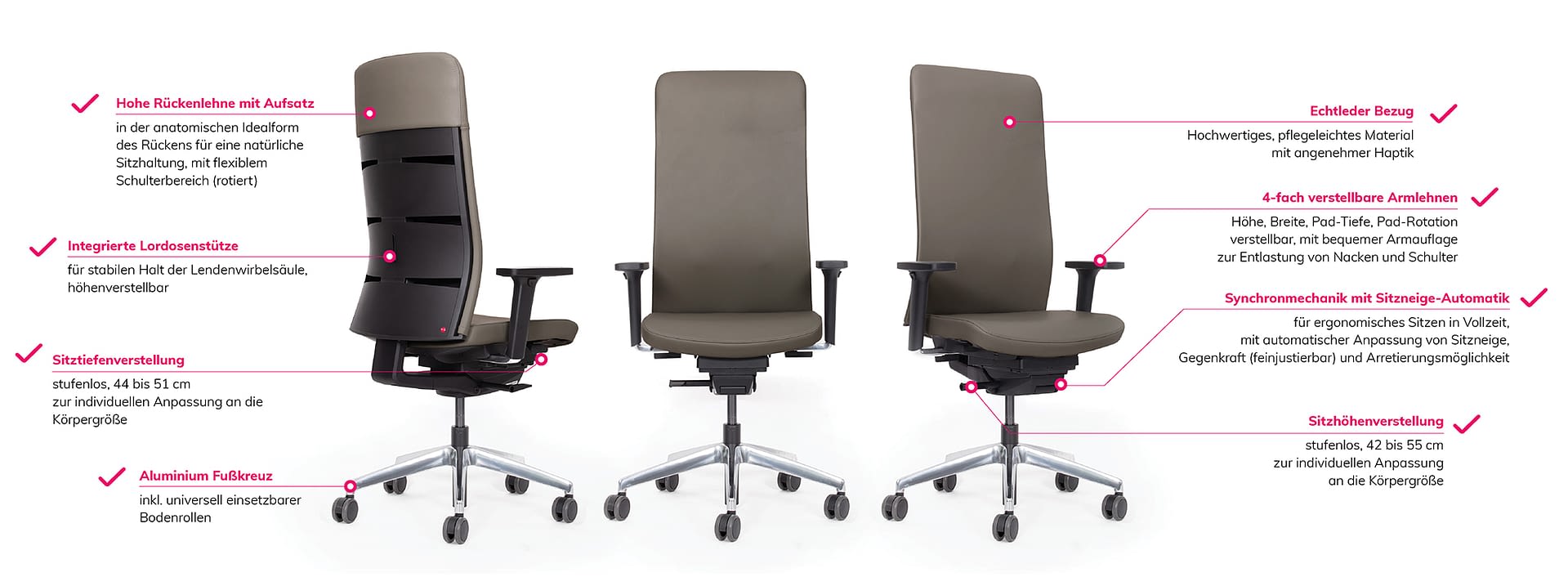 Ergonomischer Bürostuhl lento agilis matrix Infografik mit Funktionen und Material Echtleder