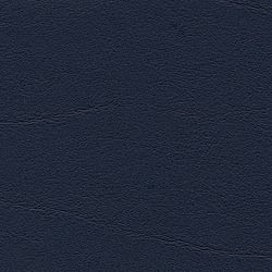 ocean F6461204