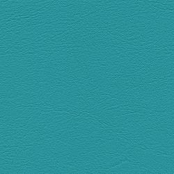 agave F6461273