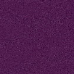 orchidee F6461354