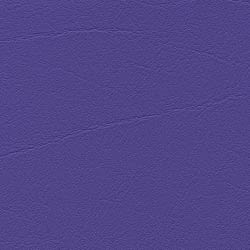 violett F6461356