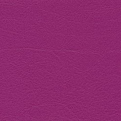 cyclame F6461381
