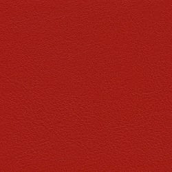 feuer F6461454