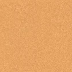 apricot F6461458