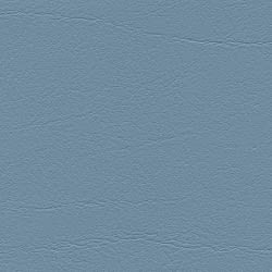 bleu F6461496