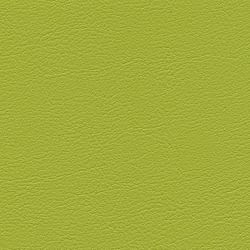 limone F6461543