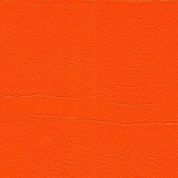 orange F6461556