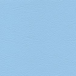 dolphin F6461609