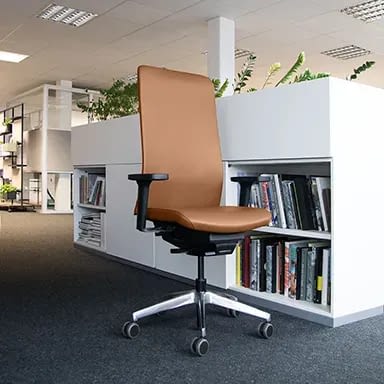 Ergonomischen Bürostuhl testen agilis matrix Echtleder Cognac im hellem Büro vor Regalen