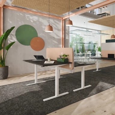 Höhenverstellbarer Schreibtisch elektrisch als Doppelarbeitsplatz mit apricotfarbener Akustik Trennwand in moderner Büroeinrichtung, Stehschreibtisch für ergonomische Arbeitsplätze, Hersteller lento