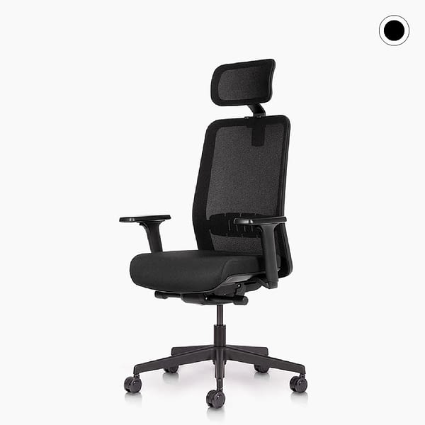 <strong class="natural-discount">Der BUDGETFREUNDLICHE mit Kopf</strong><br>proto - ergonomischer Bürostuhl mit Kopfstütze