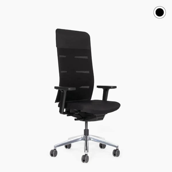 Perspektivische Ansicht des ergonomischen Bürostuhls agilis matrix Sonderedition mit erhöhter Rückenlehne.