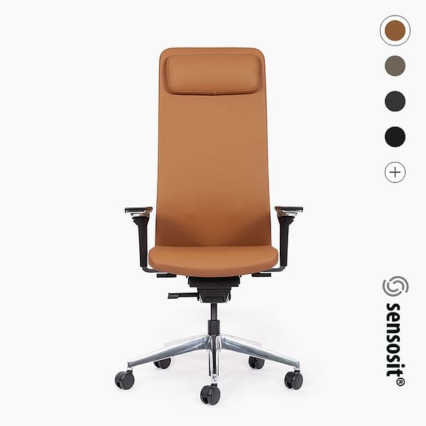 <strong>Der REPRÄSENTATIVE</strong> <br>agilis matrix - ergonomischer Chefsessel Bürostuhl mit Kopfstütze 🇩🇪 Made in Germany – sensosit®
