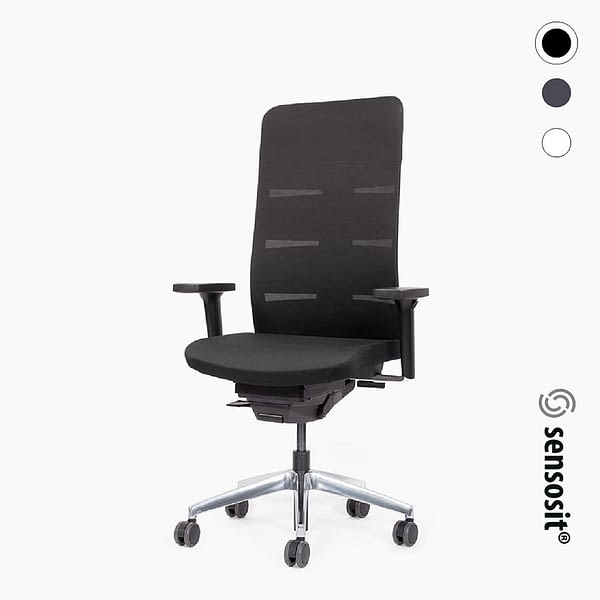 <strong>Der DYNAMISCHE - Comfort</strong> <br>agilis matrix - ergonomischer Bürostuhl 🇩🇪 Made in Germany – sensosit®