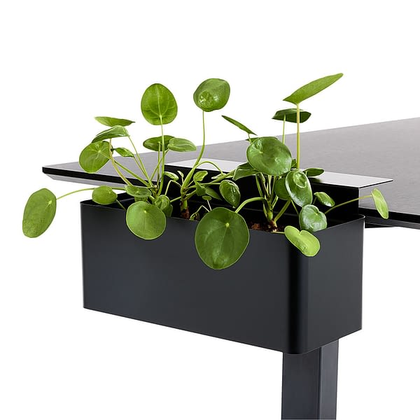 <strong>BLUMENBOX</strong><br>multifunktional einsetzbar: inkl. Tischklemmen zur Befestigung am Schreibtisch - 2 Farben