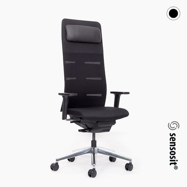 <strong>Der DYNAMISCHE - Executive</strong><br>agilis matrix - ergonomischer Chefsessel Bürostuhl mit Kopfstütze 🇩🇪 Made in Germany – sensosit®