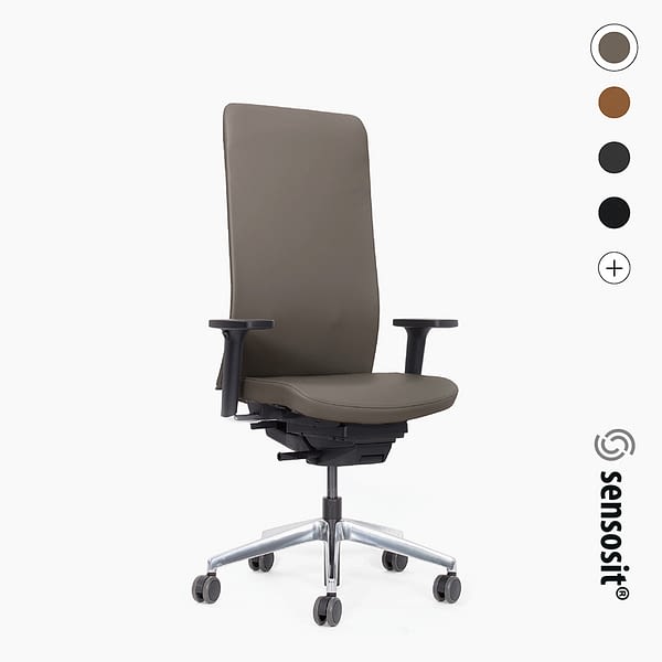 <strong>Der ELEGANTE</strong> <br>agilis matrix - ergonomischer Bürostuhl 🇩🇪 Made in Germany – sensosit®