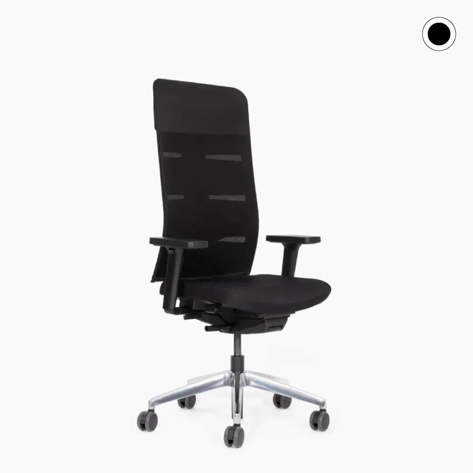 Perspektivische Ansicht des ergonomischen Bürostuhls agilis matrix Sonderedition mit erhöhter Rückenlehne.