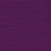 orchidee F6461354