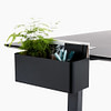 lento Schreibtischzubehör: Blumenbox schwarz mit Tischklemmen