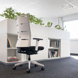 Der beste Stuhl zum besten Preis: Was einen Bürostuhl von lento zum besten Bürostuhl macht
